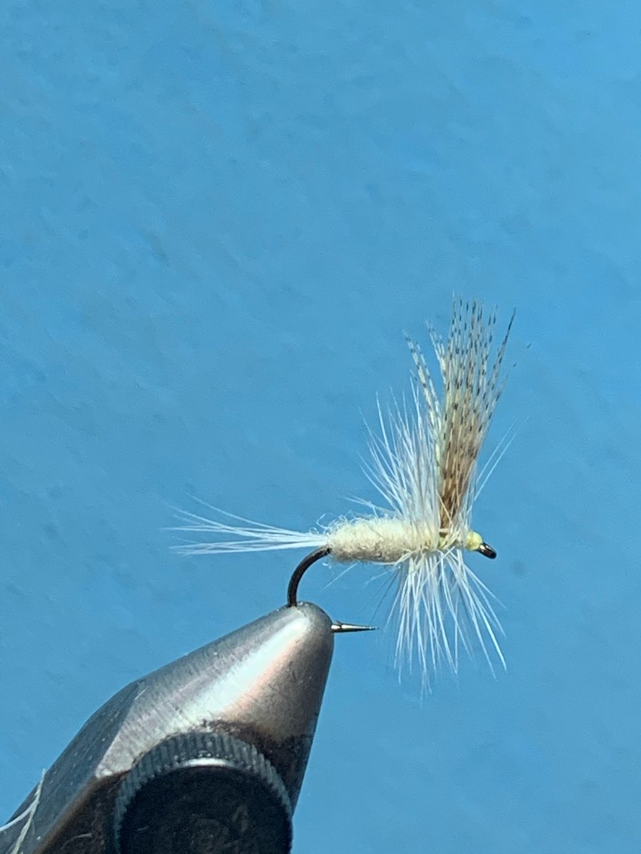 kigercreek's tweet photo. From the vise… https://t.co/EMeQPFPR0q