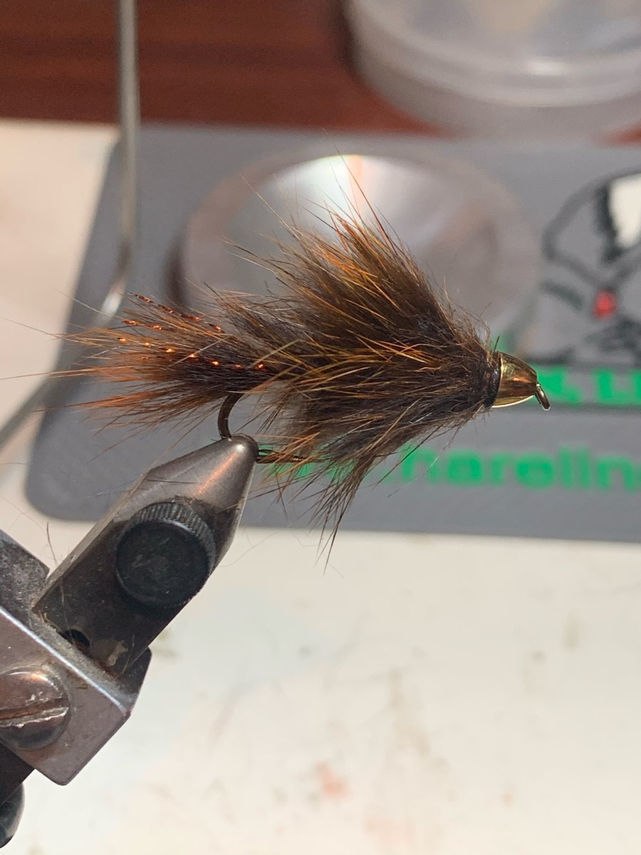 kigercreek's tweet photo. From the vise… https://t.co/EMeQPFPR0q