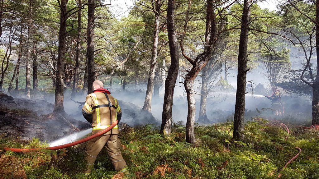 Last summer there was a wildfire on one of the Loch Maree islands which was caused by a camp fire