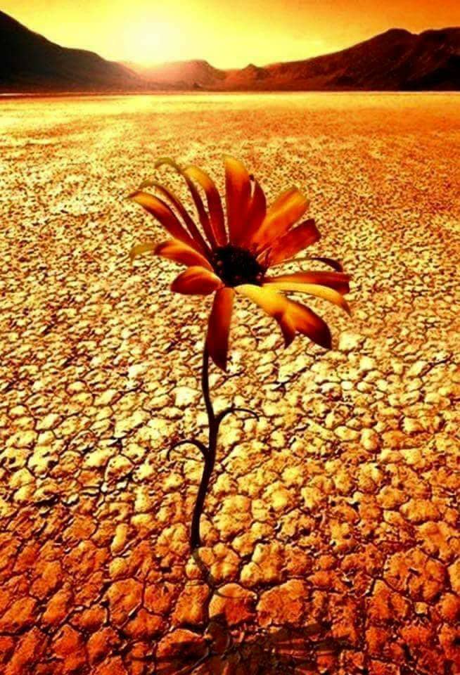 FUNDEPLE's tweet photo. Para Dios no existe nadie como tú en la tierra; moldeado con amor, adornado con su semejanza y siempre bajo su protección. Feliz día! 🙏🏻❤🕊️ https://t.co/pWl2CMdEhW