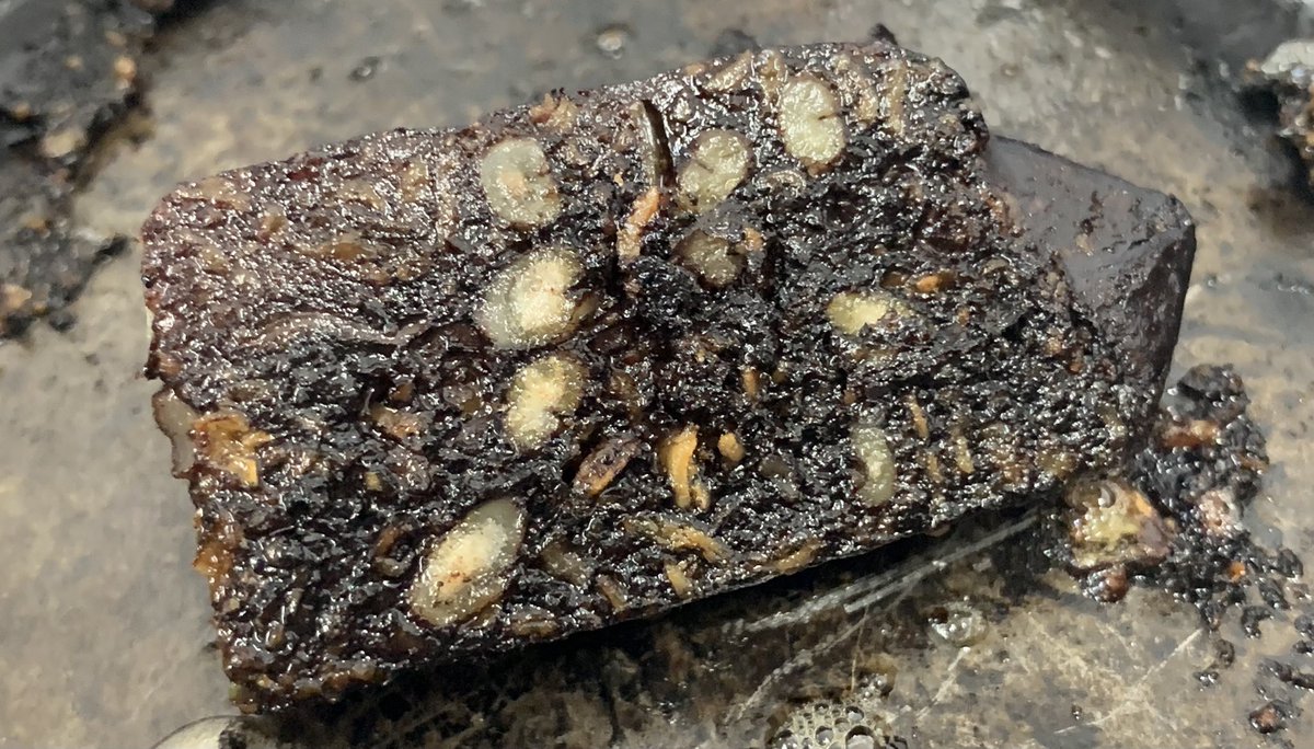 Today I tested making our own blackpudding for the guests <a href="/Toravaig/">Toravaig House Hotel</a>. Not quite right, but will be ready by the time we open our doors. <a href="/MichelinGuideUK/">The MICHELIN Guide</a> <a href="/AAHospitality/">AA Hospitality</a> <a href="/Home_Curing_UK/">Surfy's Home Curing UK</a>