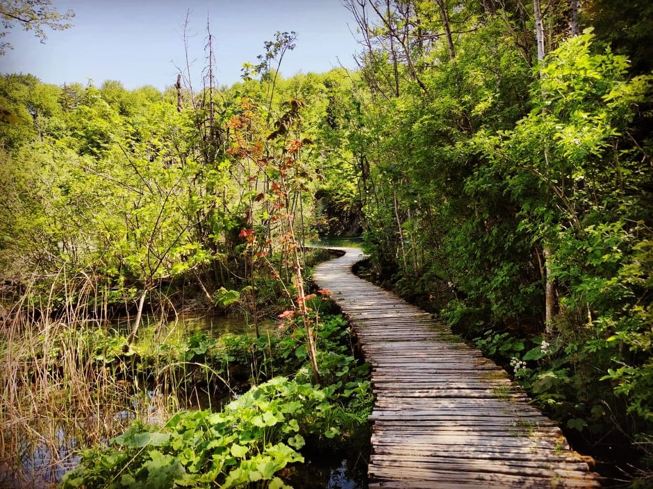 touristguidecro's tweet photo. #Plitvicelakes  #NationalPark #UNESCO world heritage site in #Croatia #CroatiaFullOfLife This place is magical #vacation #holiday #nature #NaturePhotography #sky #hikingadventures #hiking #green #privatetour #guide https://t.co/VTtGNmz04b