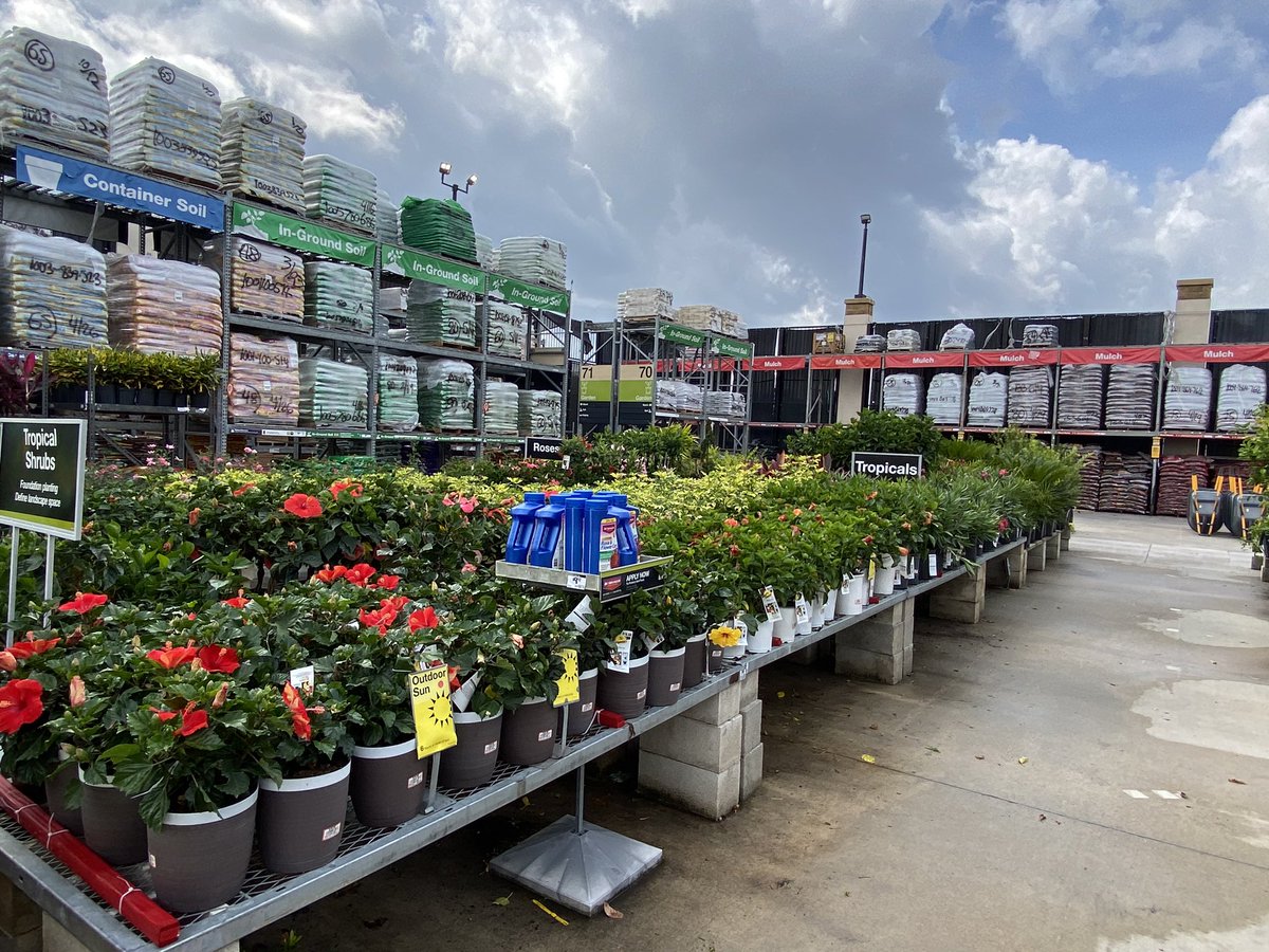 GregWilley4's tweet photo. 6369 Fleming Island Florida looks good merchandised well. https://t.co/VhQ9mCnEDB