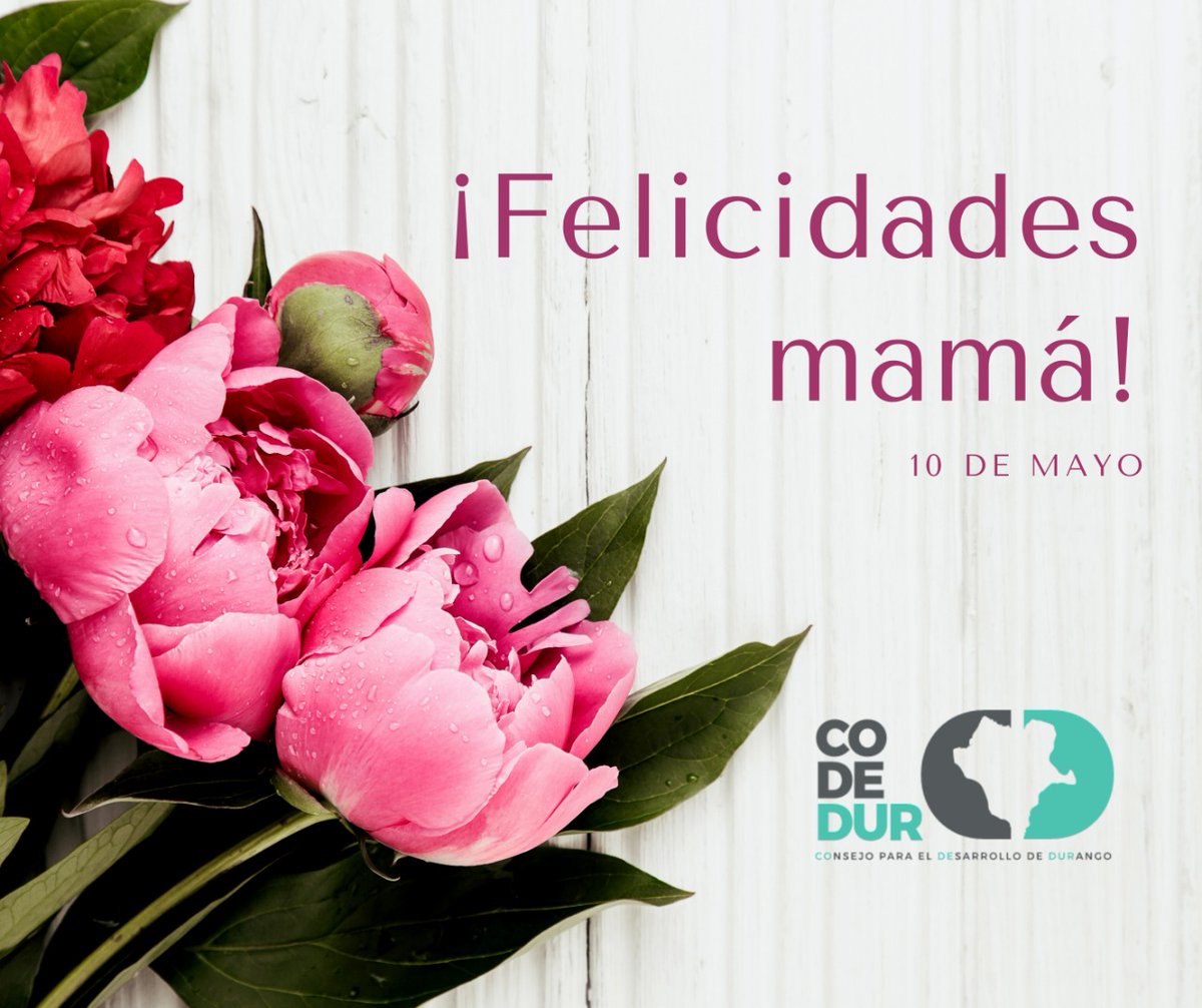 CODEDUR_oficial's tweet photo. El amor incondicional no es un mito, se puede observar todos los días en las madres.
¡Felicitamos a todas las madres duranguenses!
#Durango2040
#Red2040 https://t.co/OURhNTXmPs