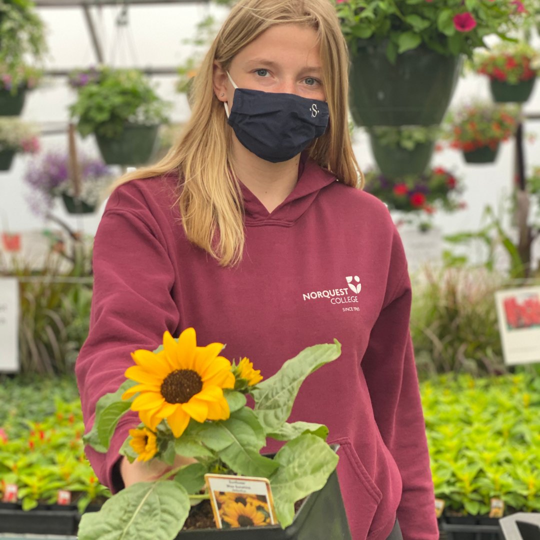 𝐒𝐮𝐧𝐬𝐡𝐢𝐧𝐞 &amp; 𝐒𝐮𝐧𝐟𝐥𝐨𝐰𝐞𝐫𝐬⁣
⁣
Can we ask for a better morning? This sunshine is amazing and there is no better time to visit Brenneis Greenhouses!⁣
⁣
Today thru Friday we are open 9:30am to 8pm 
⁣
We look forward to seeing you soon🌻