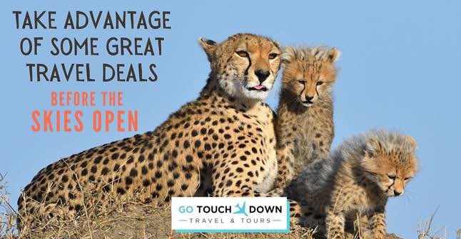 GoTouchDown's tweet image. Great Deals available for travel to South Africa- Sept thru Nov 2021 #safari #southafrica #capetown