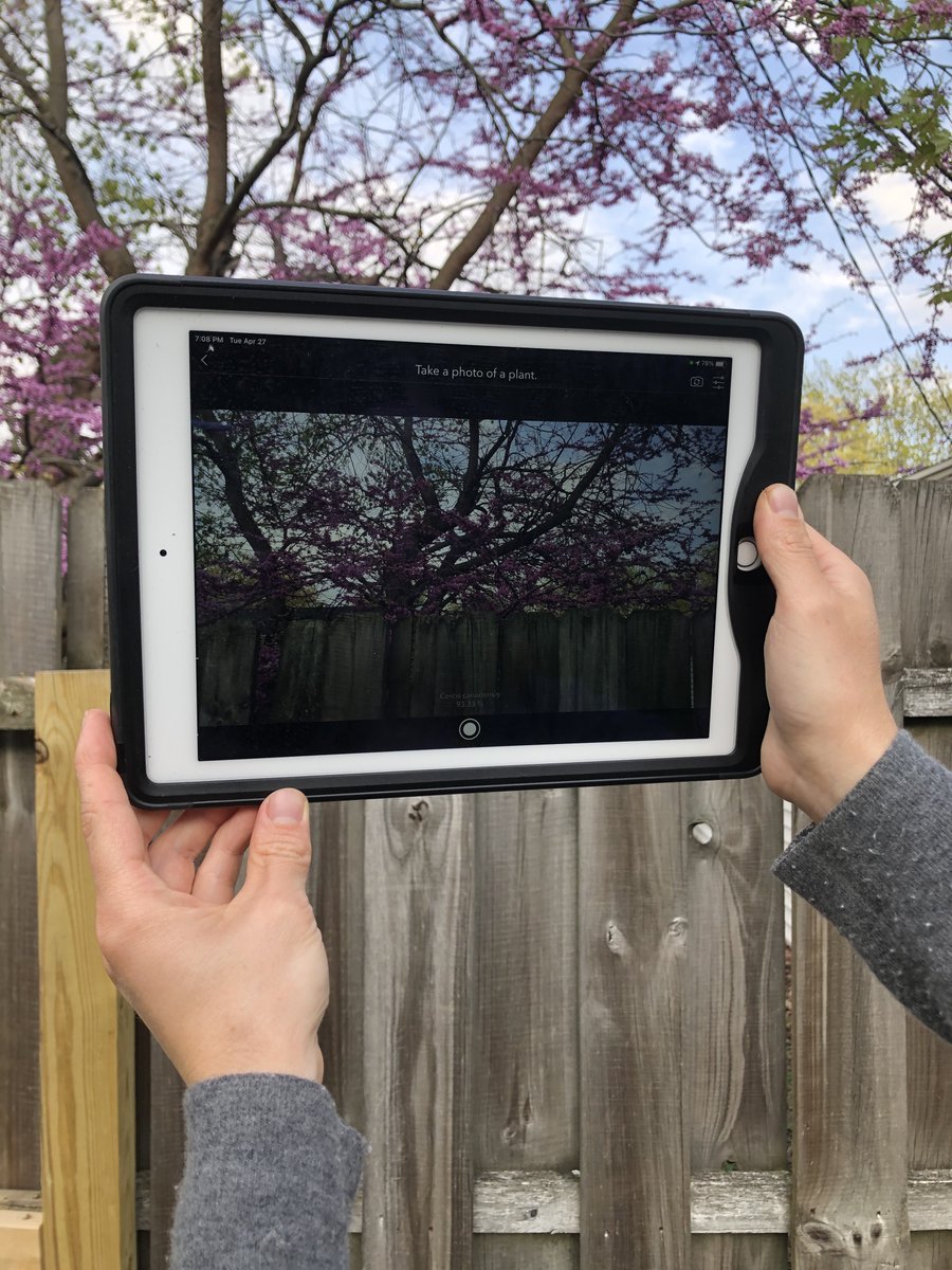 umichLSAtech's tweet photo. Save time, empower citizen science projects, and more... use AI and your mobile device's camera to auto-populate survey answers. Join us this Wednesday, 1-2:30pm, for an ArcGIS Survey123 workshop: https://t.co/MCCIUOneAA https://t.co/TYf0ndDgos