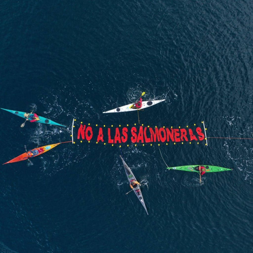 VIDEO | Argentinos y chilenos unidos en el Canal Beagle por un reclamo en común: “No a las salmoneras”
➡️ bit.ly/3y09W1J