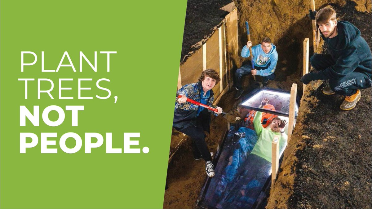 TeamTreesOfficial tweet media