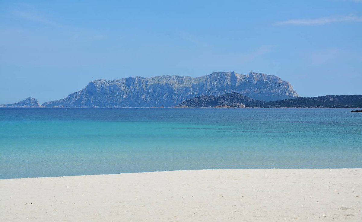 CSmeraldaOff's tweet photo. Gallura, il reportage de Il Provinciale su Rai 2  #Aggius #Bertoleoni #Gallura #IlProvinciale #MonteLimbara #NuragheMajori #pastori #Rai2 #Sardegna #stazzo #stazzogallurese #Tavolara #CostaSmeralda #Sardinia #VisitSardinia

https://t.co/UHldOBrWxL https://t.co/H6Du81fCT1