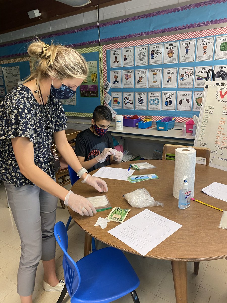 Adriana Holland tweet media