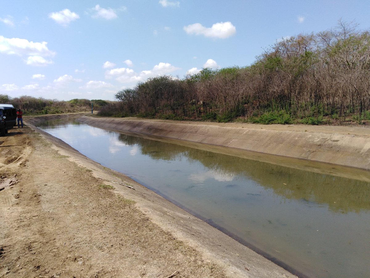 Avanza recuperación de áreas agrícolas beneficiadas con las aguas del trasvase Paso Bonito Cruces en Cienfuegos. Más de 15 mil hectáreas de 5 municipios podrán beneficiarse de manera inmediata.

#CubaViva
#SomosCuba