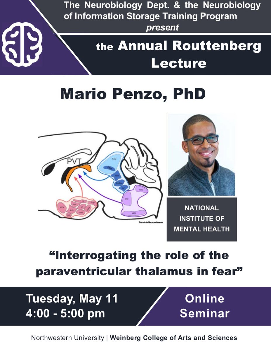Neurobiology (@nuneurobio) on Twitter photo <a href="/NUneurobio/">Neurobiology</a> and the Neurobiology of Information Storage Training Program will present the Annual Routtenberg Lecture tomorrow at 4pm CST via Zoom. Dr. Mario Penzo (NIMH) will present his talk "Interrogating the role of the paraventricular thalamus in fear." <a href="/NUneurobio/">Neurobiology</a> and the Neurobiology of Information Storage Training Program will present the Annual Routtenberg Lecture tomorrow at 4pm CST via Zoom. Dr. Mario Penzo (NIMH) will present his talk "Interrogating the role of the paraventricular thalamus in fear."