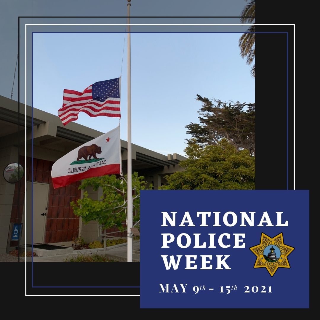 Pacific Grove Police tweet media