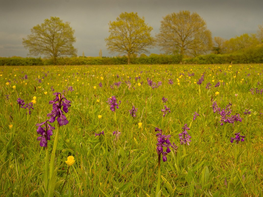 Jules Cox Photography tweet media