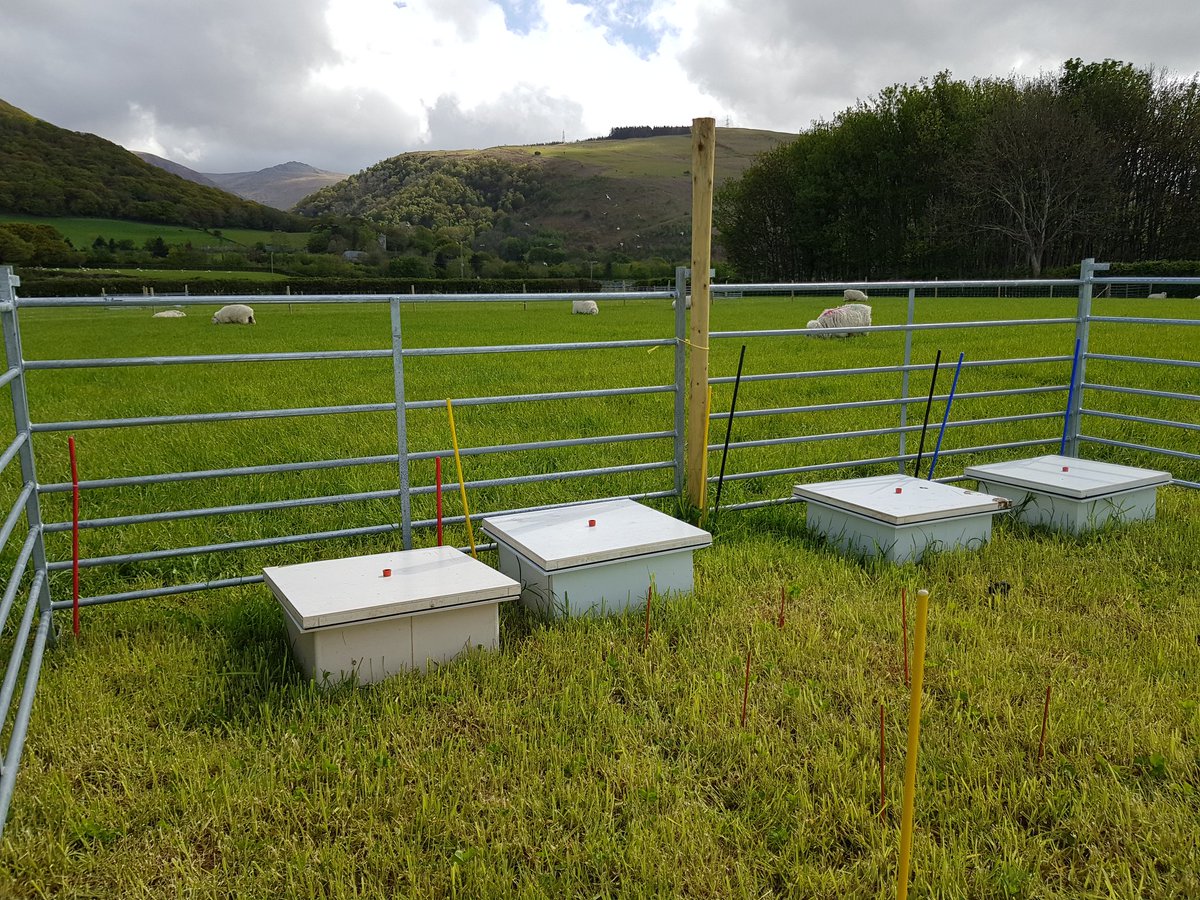 EmilyCooledge's tweet photo. Spring application complete ✅ 😅 Sward-specific #lamb urine, dung and 50 kg N ha-1 fertiliser applied to the grass-clover and #multispecies exclusion plots. Greenhouse gas and soil measurements to follow. Great team effort to start this #WomenInSTEM #phdchat #livestock #research https://t.co/67D9m6CLKs