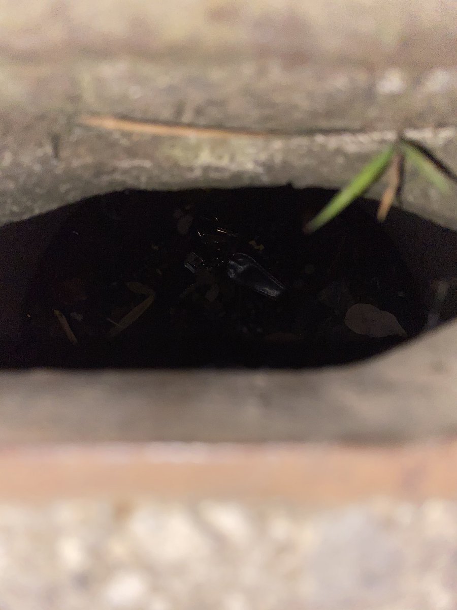 排水溝に鍵落とした
絶体絶命🤔