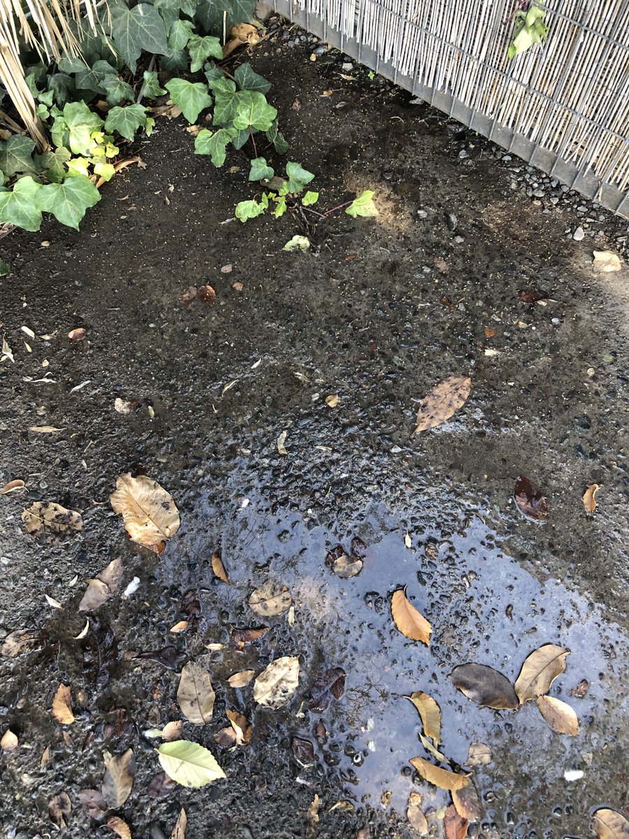 ⁦<a href="/aguas_andinas/">Aguas Andinas</a>⁩ rotura cañería antes del medidor en Padre Alfredo Arteaga 1316 Lo Barnechea, se ha llamado varias veces, se mandaron fotos y el agua corre y corre, medidor está en interior del pues de portón que se ve en foto parte baja, que se debe hacer para que reparen?