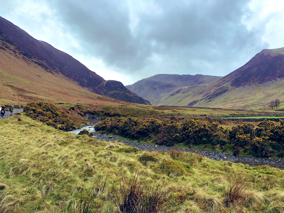 gabbyheffernan's tweet photo. Llama trek team-building day in the Lake District? 

Don’t mind if I do!

#Cumbria #LakeDistrict @alpacaly https://t.co/YaKT7UIodn