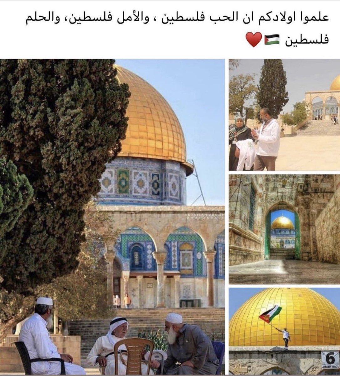 RahmaHellu's tweet photo. علموا اولادكم ان الحب فلسطين ،والأمل فلسطين ،والحلم فلسطين 🇵🇸❤️

#RedForPalestine 
#الأقصى_في_خطر 
#فلسطين_تنتفض 
#انقذوا_حي_الشيخ_الجراح 
#FreePalestin 
#PalestineWillBeFree 
#SaveSheikhJarraj 
#القدس_تنتفض https://t.co/SBG6TPcney
