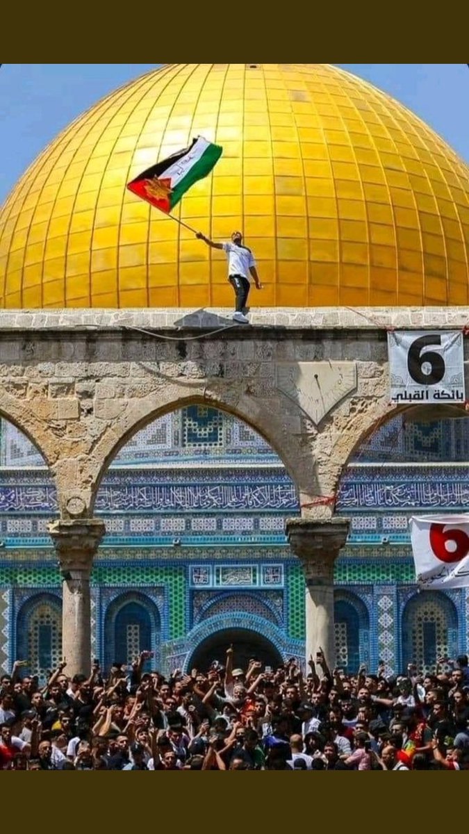 #فلسطين_تنتفض