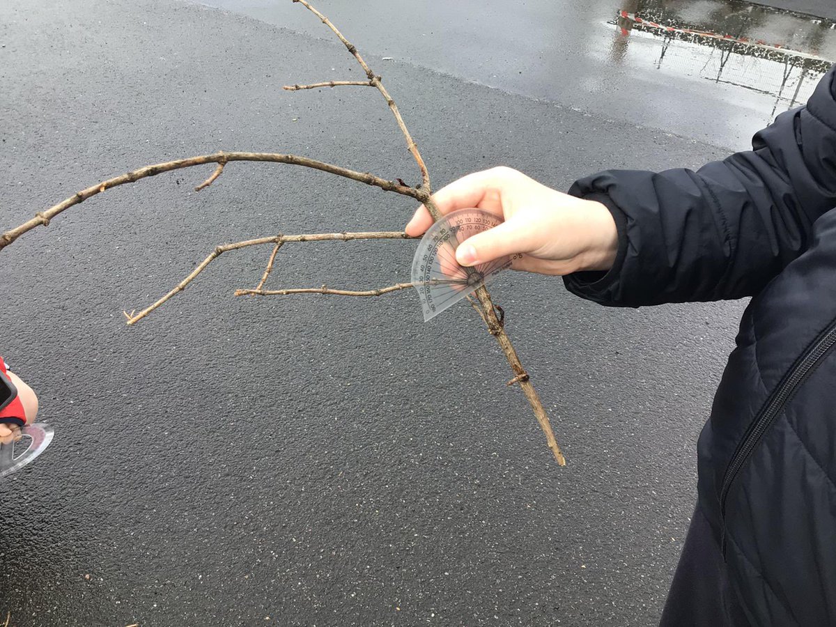 gostconstantine's tweet photo. P7b explored fractions outdoors today. We used sticks and twigs to estimate angles and then measured them using a protractor. #glasgowoutdoors @glasgowcounts https://t.co/9xxLFhNXJe