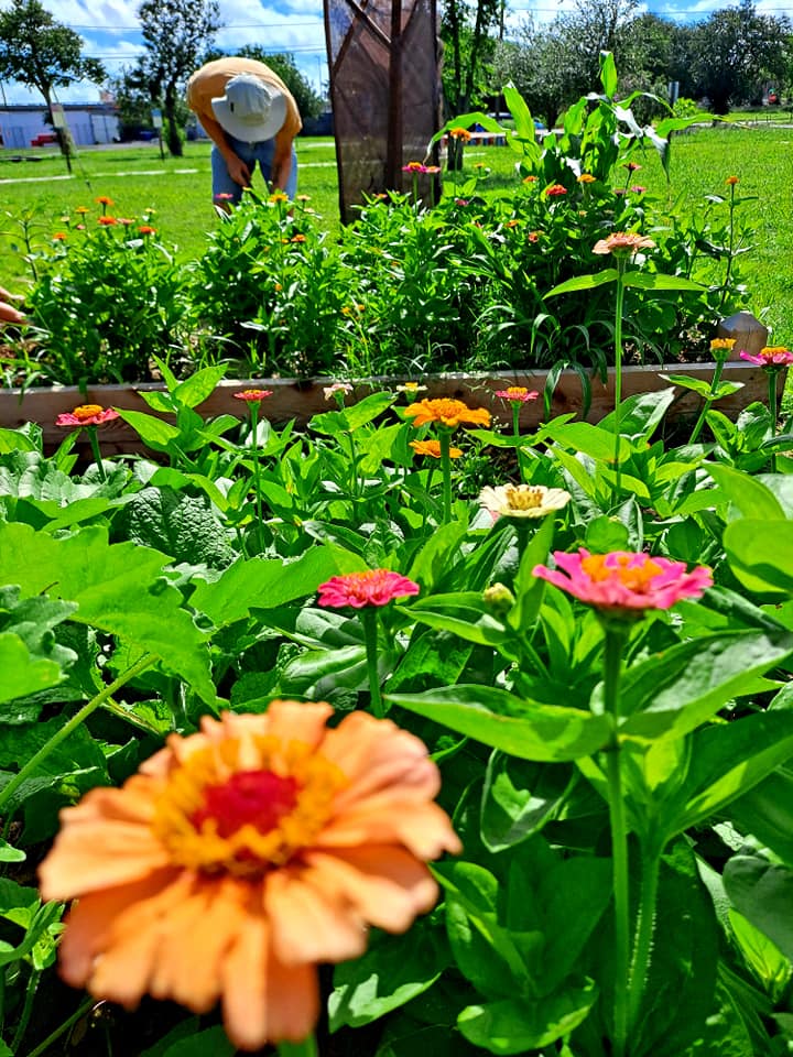 Grow Local South Texas tweet media