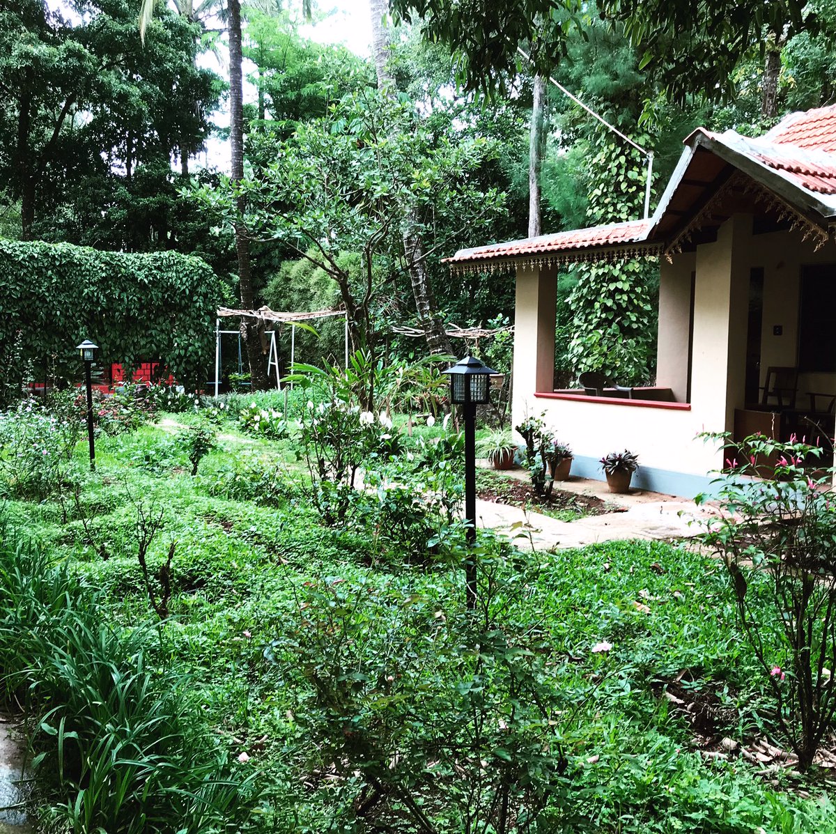 Arrived in #Coorg after a gruelling 26 hour journey by bus, plane &amp; taxi. 6 police checkpoints &amp; deserted roads en-route. 7 day quarantine increased to 14 by Indian Govt as I was flying. But here is the garden I'm blessed with - truly inspiring - so expect new recipes &amp; dishes...