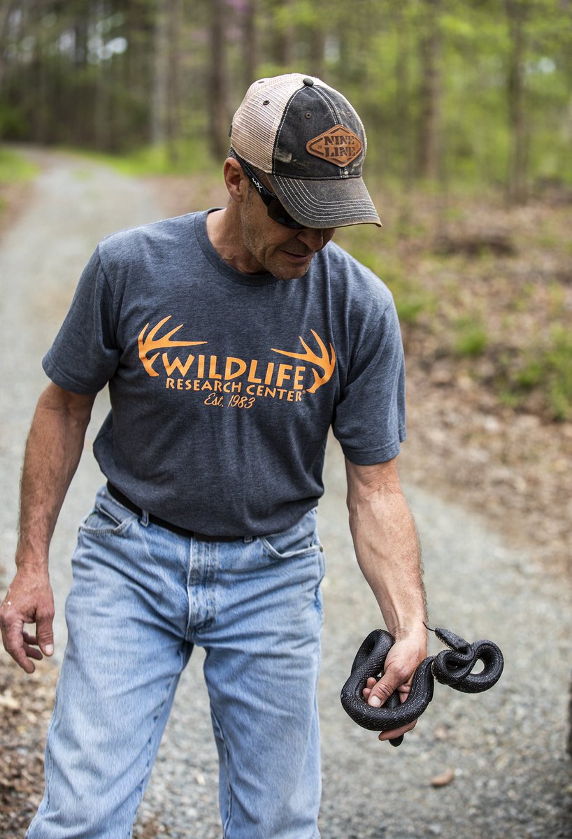 Crossroads tweet media