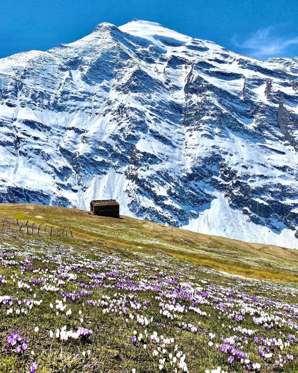 Randonnées en Vanoise tweet media
