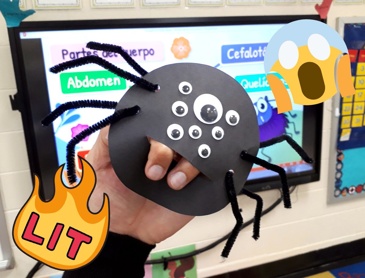 FelipeSPteacher's tweet photo. Learning about the arachnids, their body parts and characteristics, our students made their own crazy spider puppets! 🕷️ It was a great opportunity to close the lessons in a fun and meaningful way! @Angelica99921 @ParticipateLrng #unitingourworld #SDG15 @TheGlobalGoals https://t.co/a7UhT8QJwG