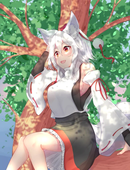 朝もみ 