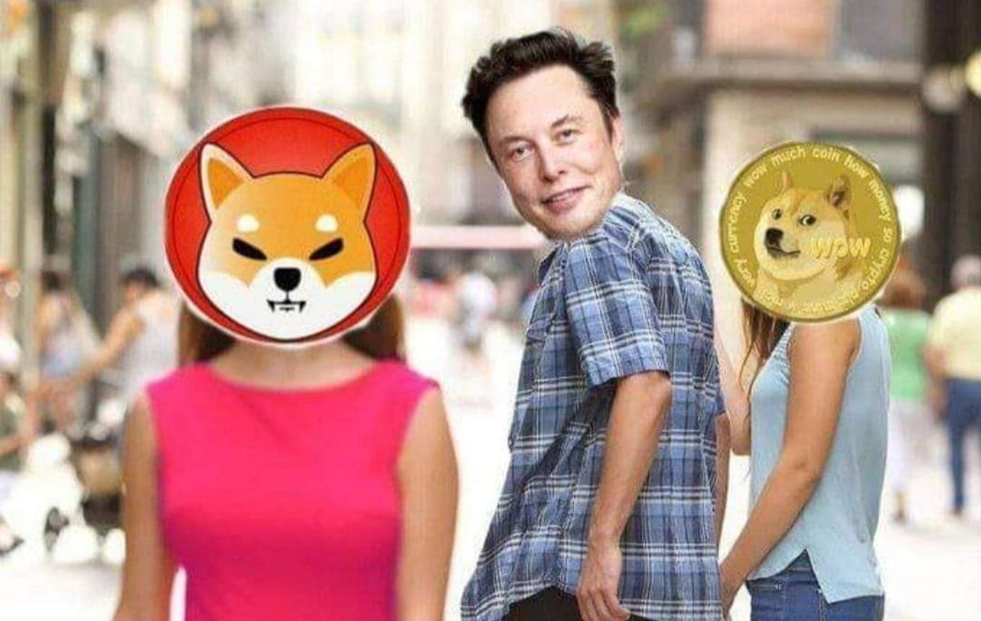 Cryptobubble2's tweet photo. #shiba to .01 https://t.co/BCZohsIzCv