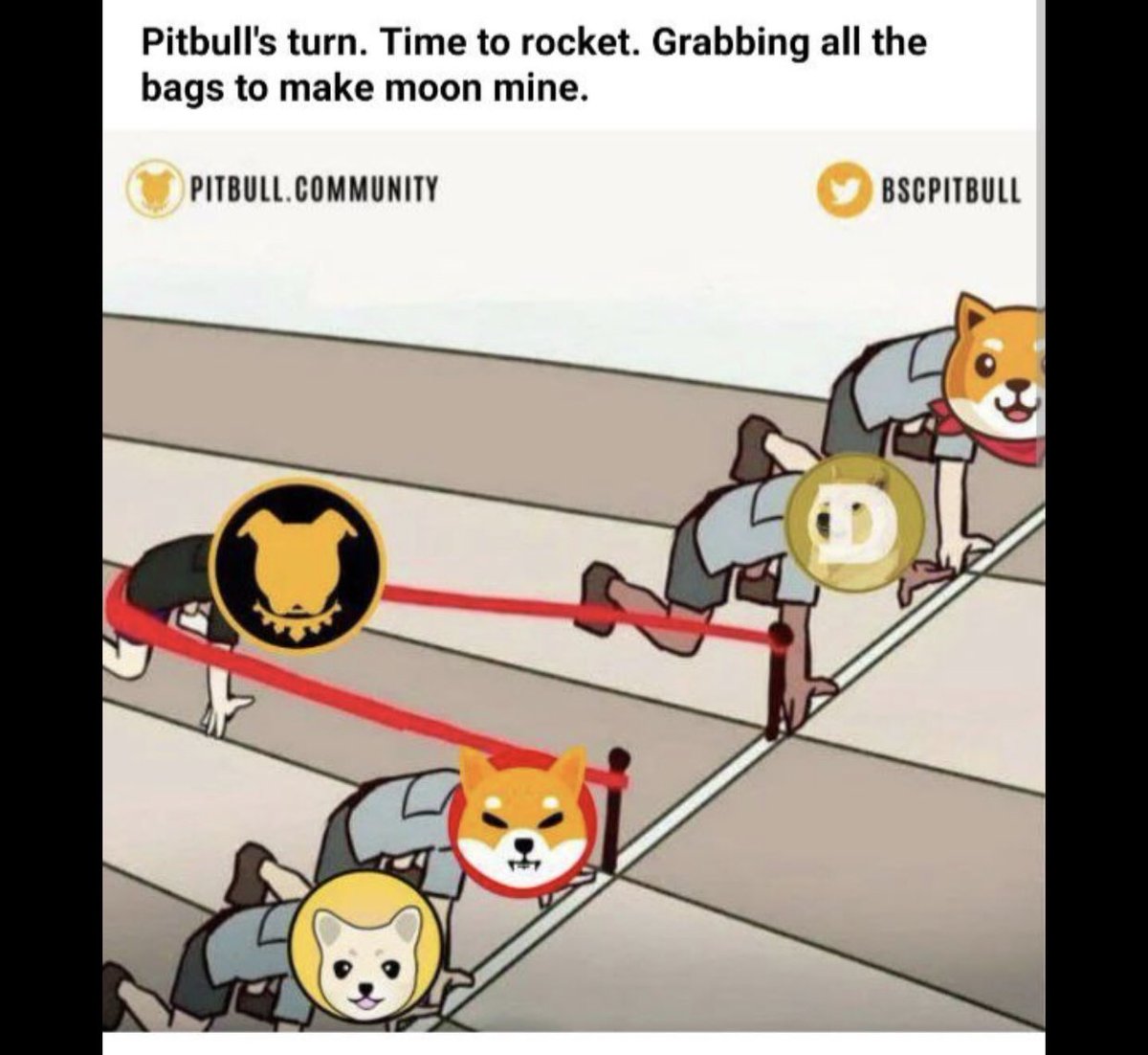 criptoceto's tweet photo. @pitbull https://t.co/PW10FXKkID
