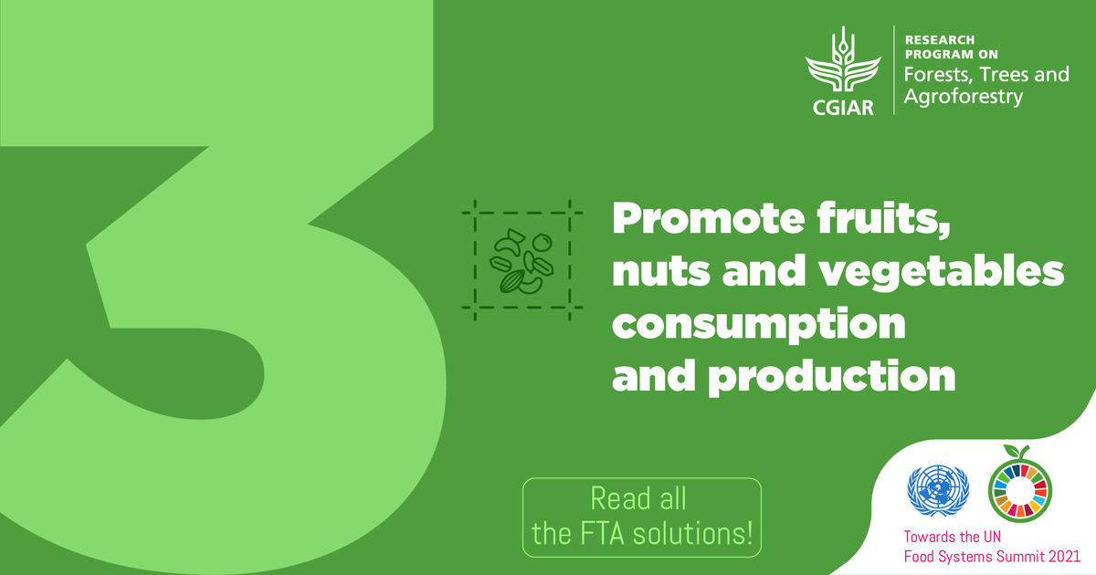 FTA_Partnership's tweet image. .#EatYourVeggies🥗... fruits 🍌 and nuts🥜 too!

Not only they are among the most nutrient-dense foods but promoting their consumption and production is also a #GameChangingSolution #ForTheFuture of @FoodSystems! 🌎

Game-changing solutions for #UNFSS2021: foreststreesagroforestry.org/11-game-changi…