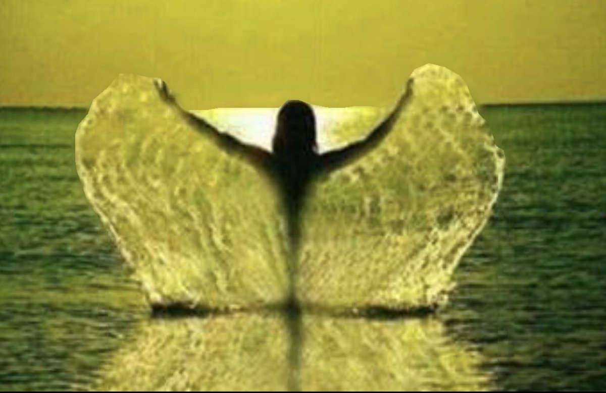 التأثير الطاقي للمعانقة والمصافحة
•عندما نعانق شخصاً ما فسرعان ماتندمج هالتنا بهالته ويحدث تبادل طاقي بيننا فى الحال بنسبة معينة
فلاتعانق كثيري الشكوى ولاتعانق سريع الغضب ولاتعانق حاقد أوحاسد إلا إذا كانت طاقتك قوية وإيجابية أغلب الوقت ولديك المخزون الكافي من الطاقه لمواجهتهم👇