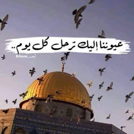 بكل لغات العالم 🙏🙏🙏
🇵🇸 #أنقذوا_حي_الشيخ_جراح
🇬🇧 #Save_SheikhJarrah_neighborhood
🇺🇸 #save_sheikh_jarrah 
🇷🇺 #Спасти_район_ШейхДжарра 
🇹🇷 #ŞeyhJarrah_mahallesini_kurtar 
🇩🇪 #Siehe_SheikhJarrah_Nachbarschaft 
 #Sauver_le_quartier_de_SheikhJarrah
