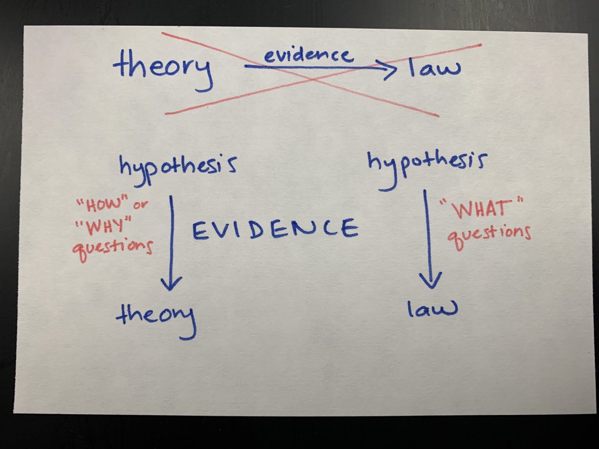 I always wait to address this until it comes up organically in class discussions, but WOWZER - the misconception that theories become laws once they are better supported by evidence is a really persistent one.