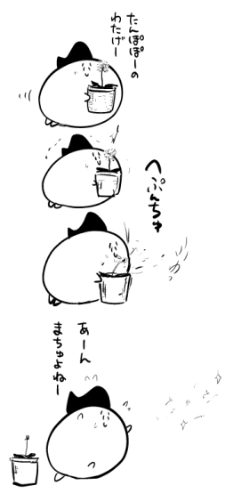 たんぽぽまちゅ 