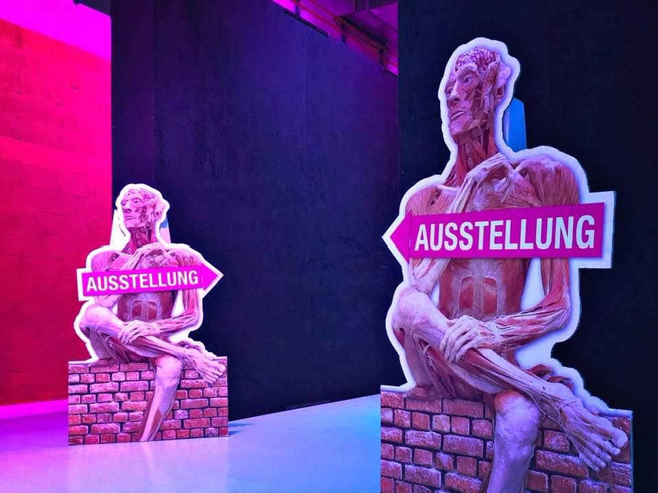 NewInZurich's tweet photo. There's a fascinating new #exhibition on at Halle 622 in #Zurich all about the human body. Read all about it here: https://t.co/iYPOr1oUMA
#Körperwelten #Bodyworld #exhibitionsinzurich #BodyWorldZurich #Zurichexhibitions #Halle622 #Switzerland https://t.co/k2AdKHQUMw