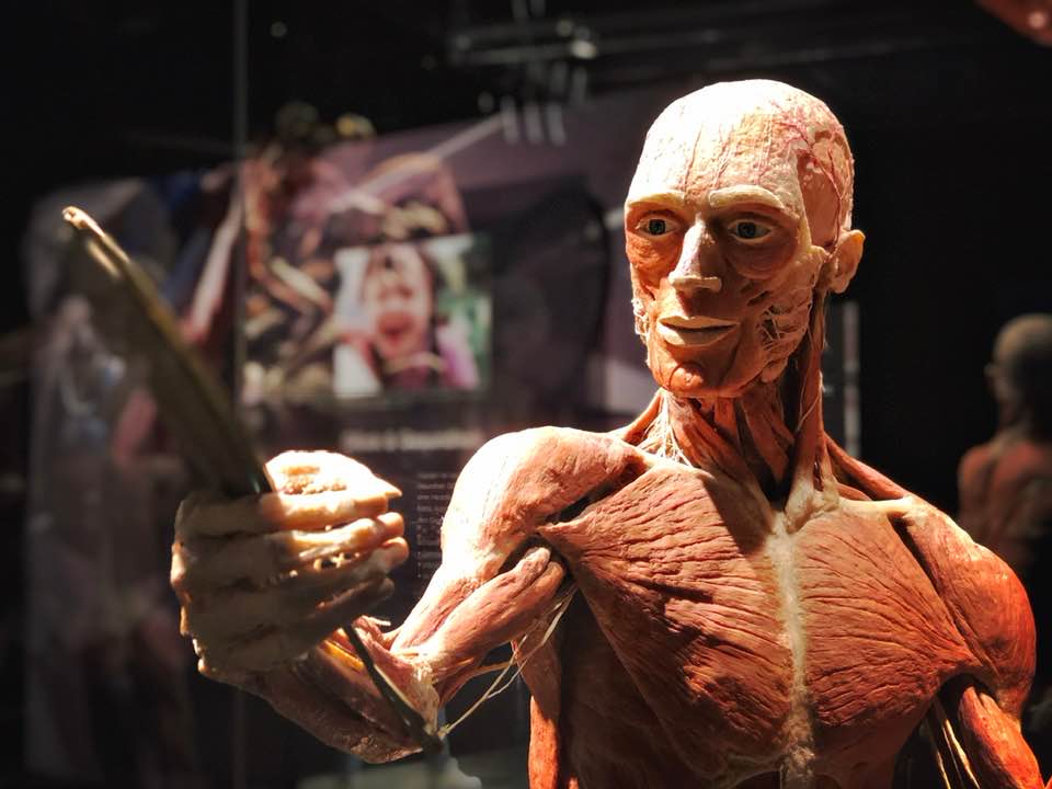 NewInZurich's tweet photo. There's a fascinating new #exhibition on at Halle 622 in #Zurich all about the human body. Read all about it here: https://t.co/iYPOr1oUMA
#Körperwelten #Bodyworld #exhibitionsinzurich #BodyWorldZurich #Zurichexhibitions #Halle622 #Switzerland https://t.co/k2AdKHQUMw