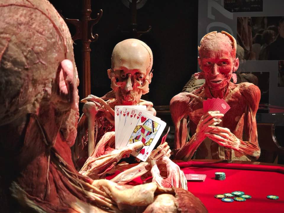 NewInZurich's tweet photo. There's a fascinating new #exhibition on at Halle 622 in #Zurich all about the human body. Read all about it here: https://t.co/iYPOr1oUMA
#Körperwelten #Bodyworld #exhibitionsinzurich #BodyWorldZurich #Zurichexhibitions #Halle622 #Switzerland https://t.co/k2AdKHQUMw