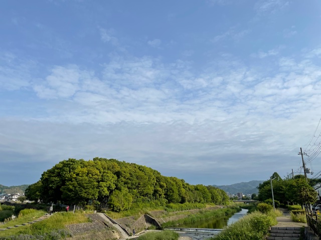 おはようございます！
京都市山科区、本日の天候は晴れ☀
薄いブルーの過ごしやすい晴れです。
本日もよろしくお願いします☺
#企業公式が毎朝地元の天気を言い合う 
#企業公式相互フォロー 
#京都の天気