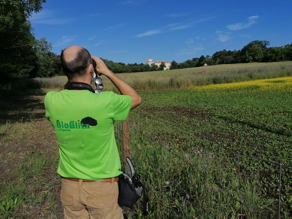 BioBlitz_Tapada's tweet photo. 🐦🎼🦅📷
Os monitores das aves também têm estado no terreno, e registaram espécies bem interessantes!
🐦🎼🦅📷
📌 Façam já a vossa inscrição https://t.co/eXjDdXCQX4 e venham também registar espécies na #Tapada da #Ajuda https://t.co/WNz07i5XPs