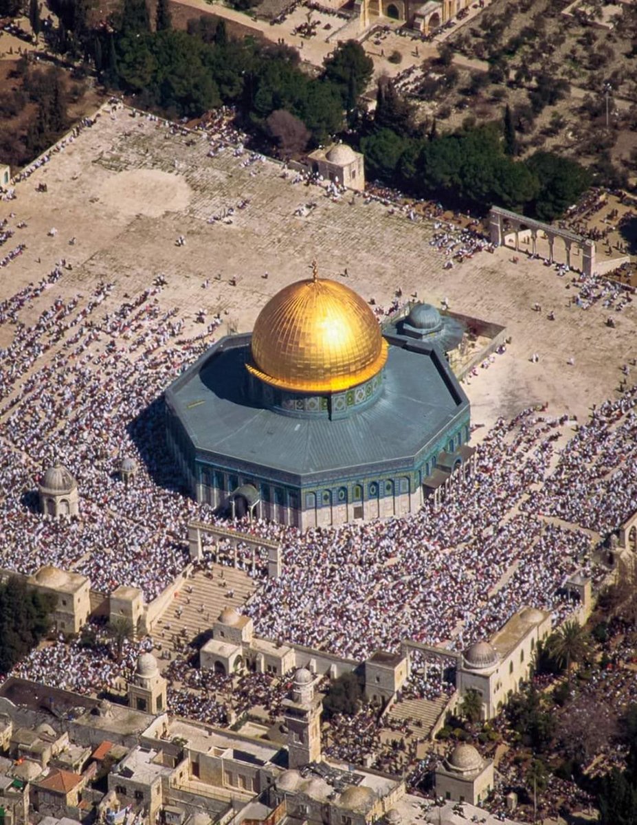 "أَلَا إِنَّ نَصْرَ اللَّهِ قَرِيبٌ" 🇵🇸❤️