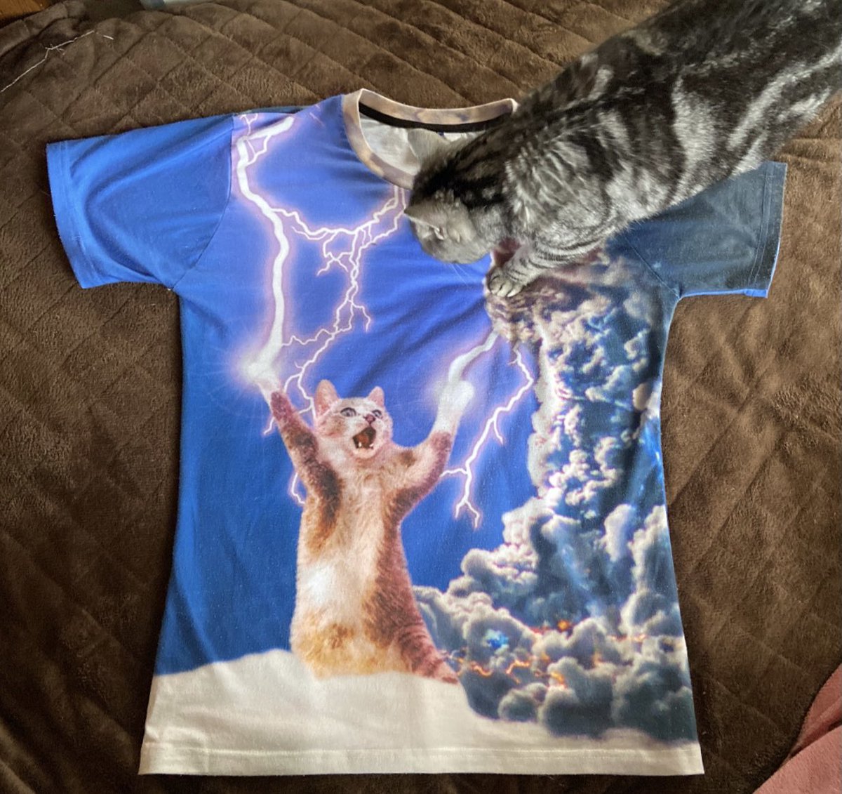猫の柄のtシャツを撮影していたらリアル猫が乱入してきて終末戦争みたくなった様子がこちら Tシャツの癖w Togetter 猫の柄のtシャツを撮影していたらリアル猫が乱入してきて終末戦争みたくなった様子がこちら Tシャツの癖w Togetter