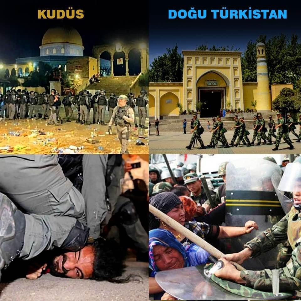 şşşşt  sessiz olun müslümanlar uyuyor!
#AksadaBaskinVar 
#FilistinDireniyor 
#Kudues