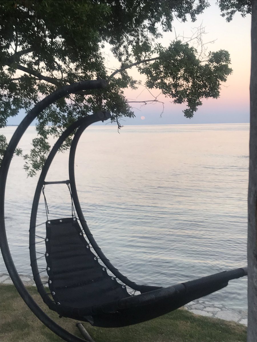 Asif Ahmad CMG 🇬🇧 tweet media