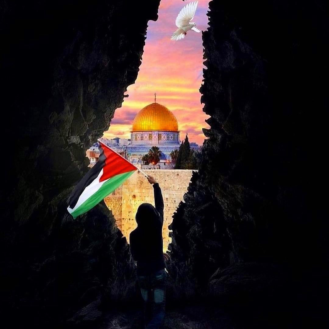 Trezeguet's tweet photo. يا عنايه الله المشدده التفي حول فلسطين ،اللهم فلسطين ومن بها ❤️🇵🇸#savesheikhjarrah  #انقذوا_حي_الشيخ_جراح https://t.co/Z8Xy2GceME