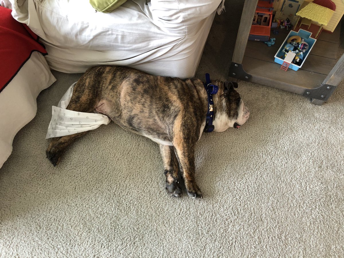 Diaper not cooperating today. Or any day really.